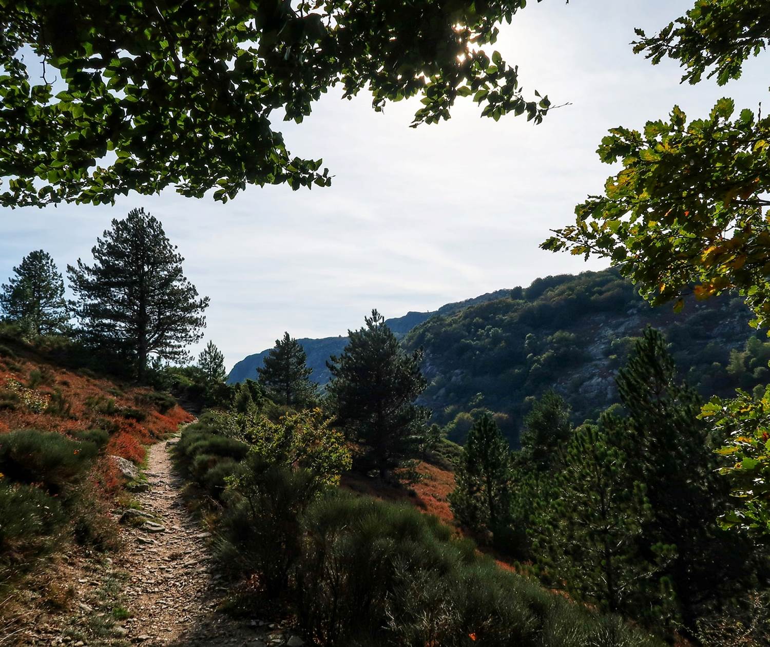 Gorges de Colombières