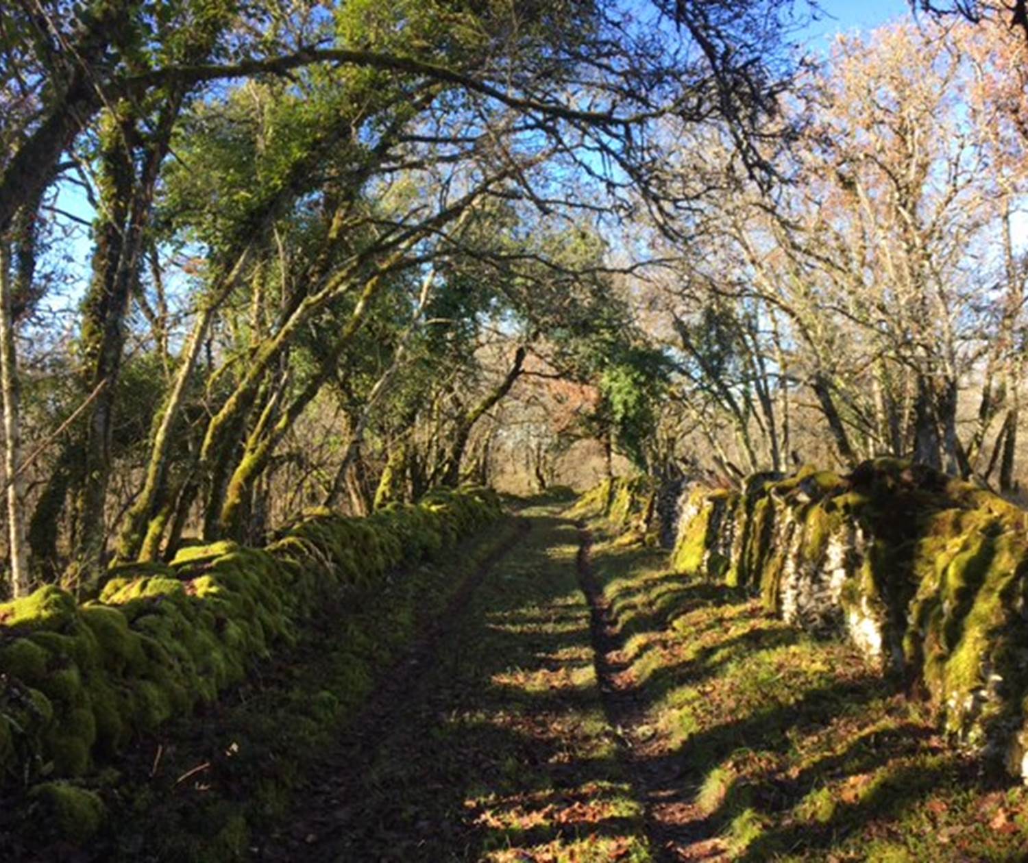 Chemin de balade au Bastit