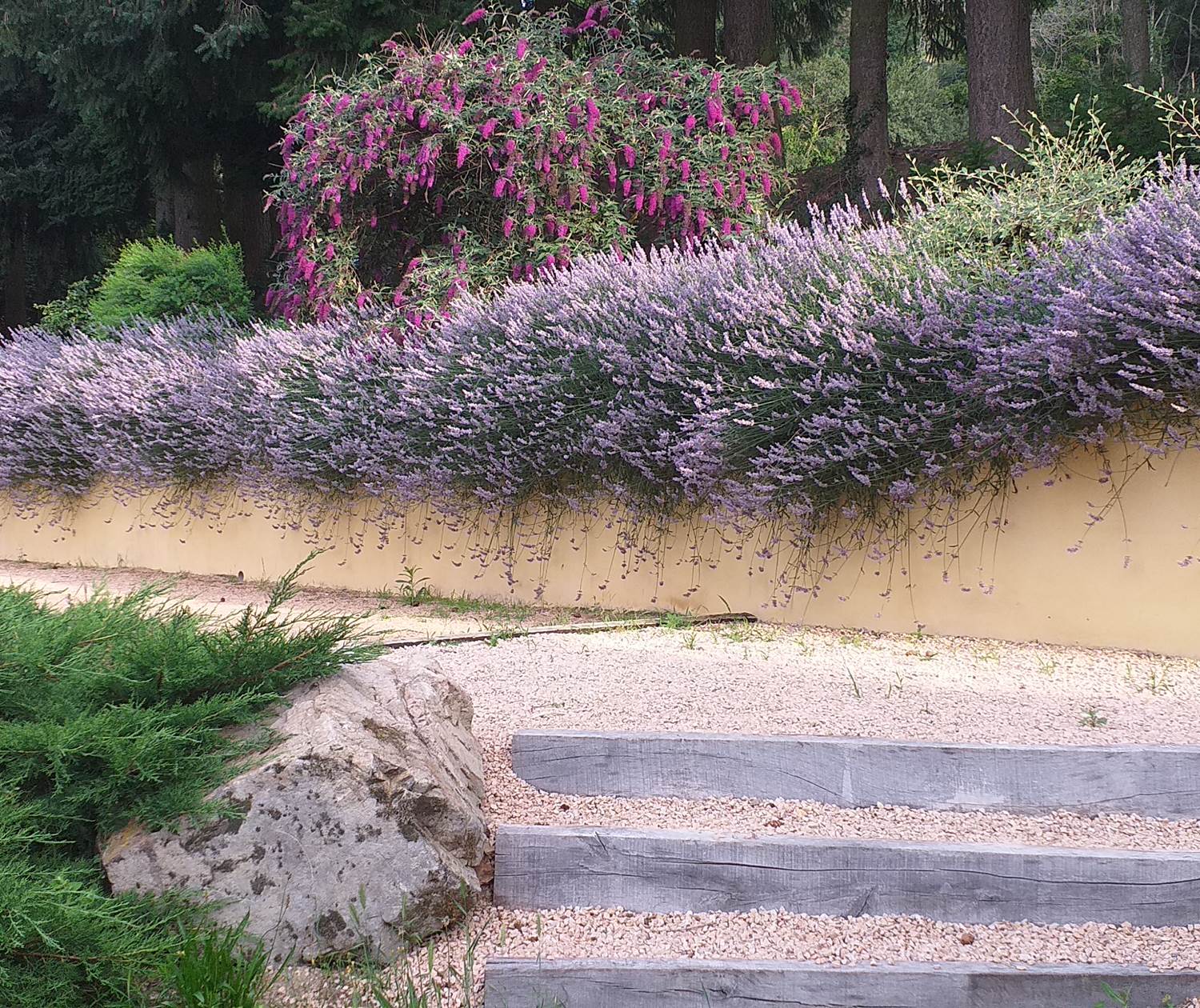 Moments pétanque inoubliables entre amis !