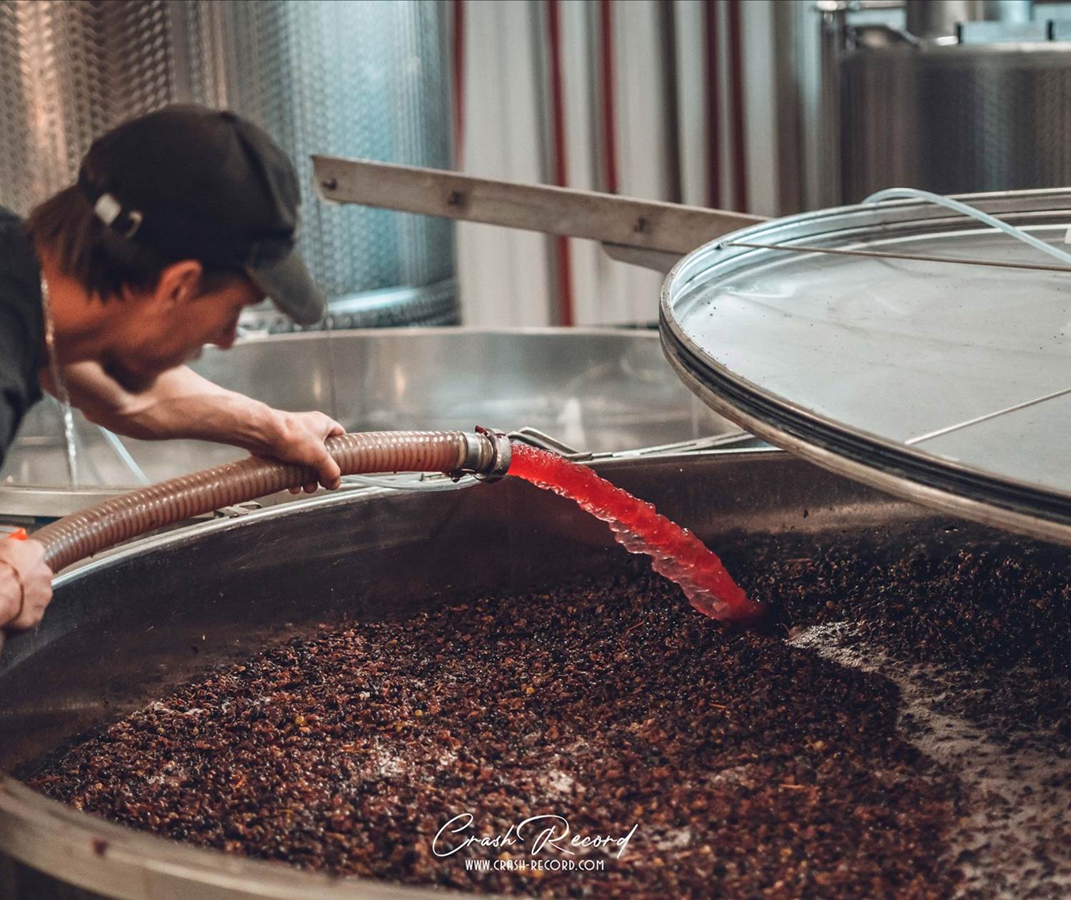 La vinification des vins rouges