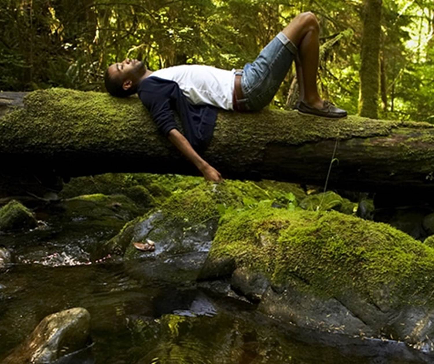 bien-être en forêt - se détendre au milieu des arbres au détour d'une ballade