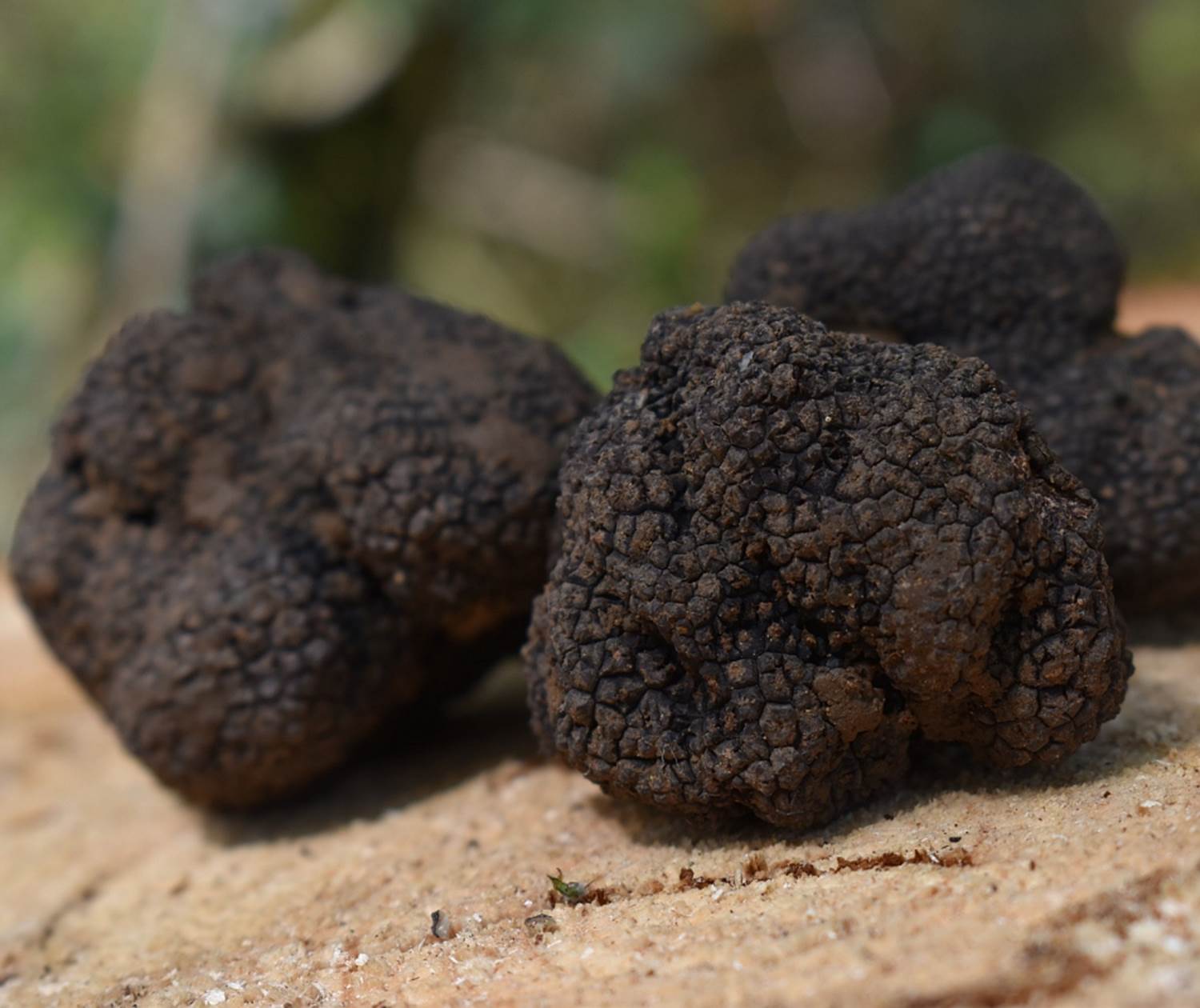 Gard Tourisme copyright Pixabay_BD