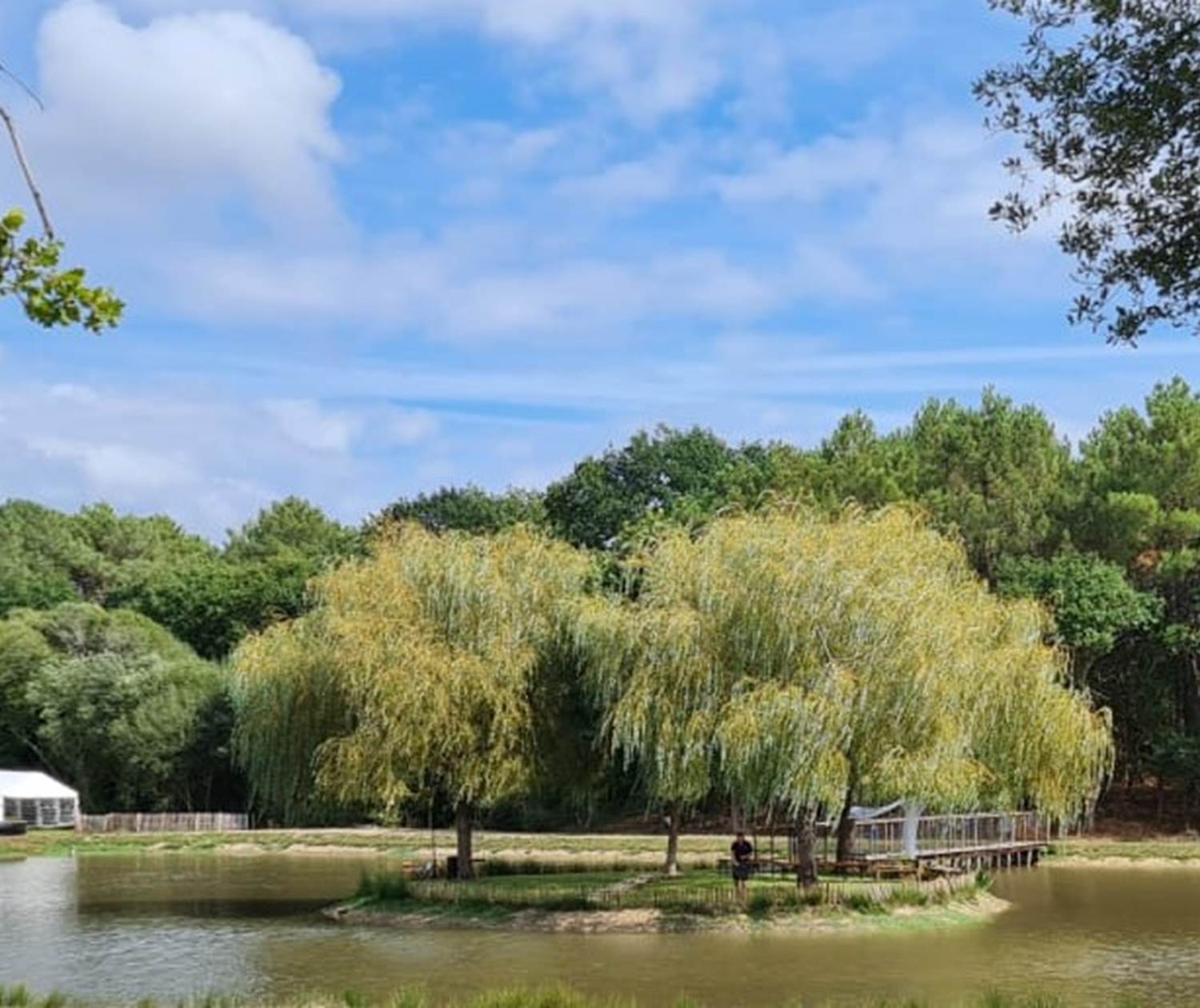 lieu atypique éco-responsable ecolodge charles ashton