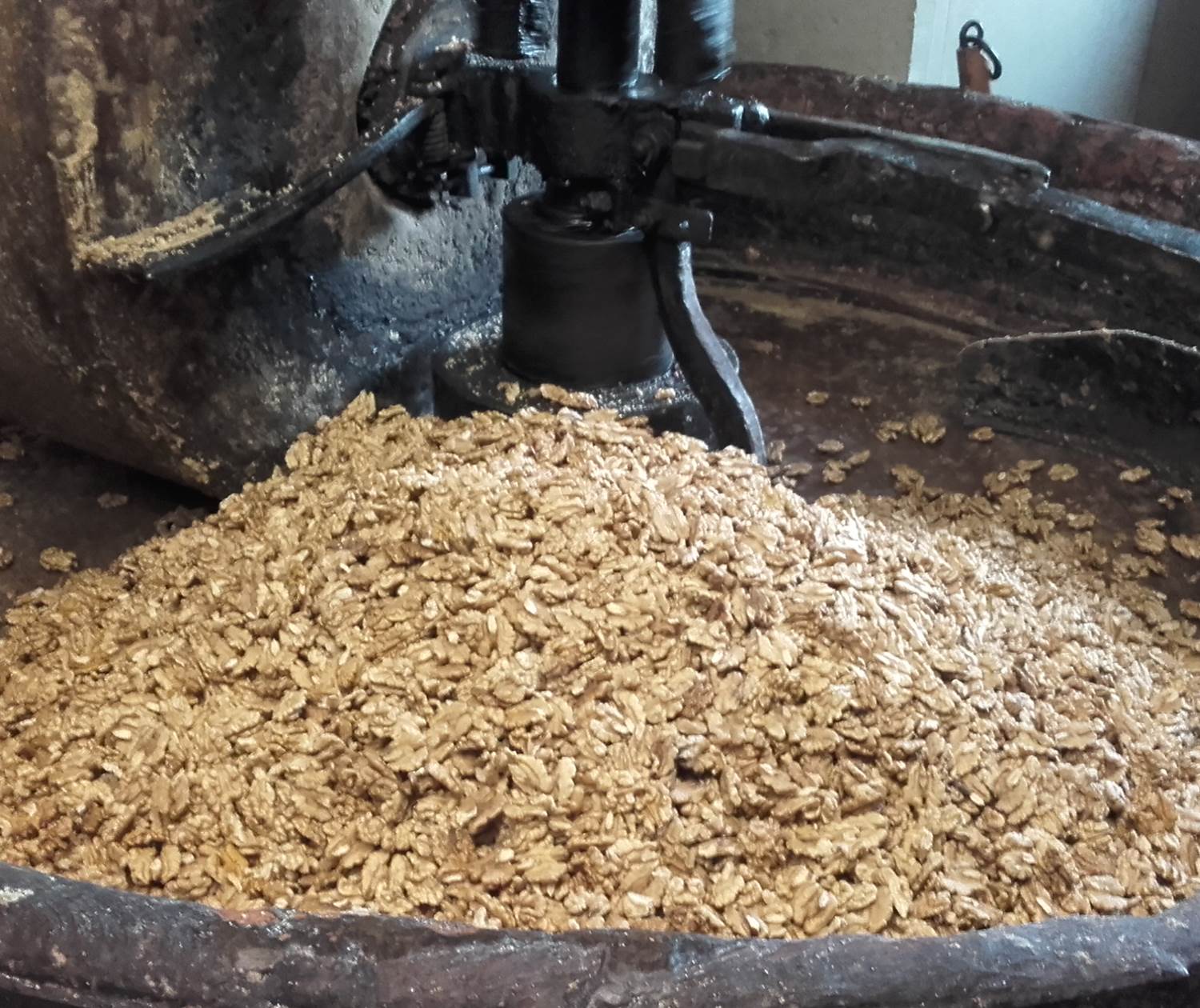 Broyage des cerneaux à la meule de pierre