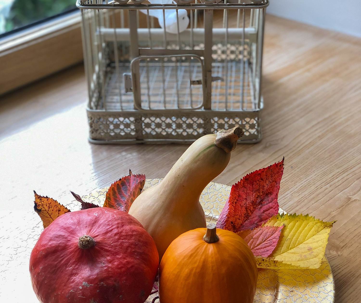 saison automnale à la demeure du Porzou