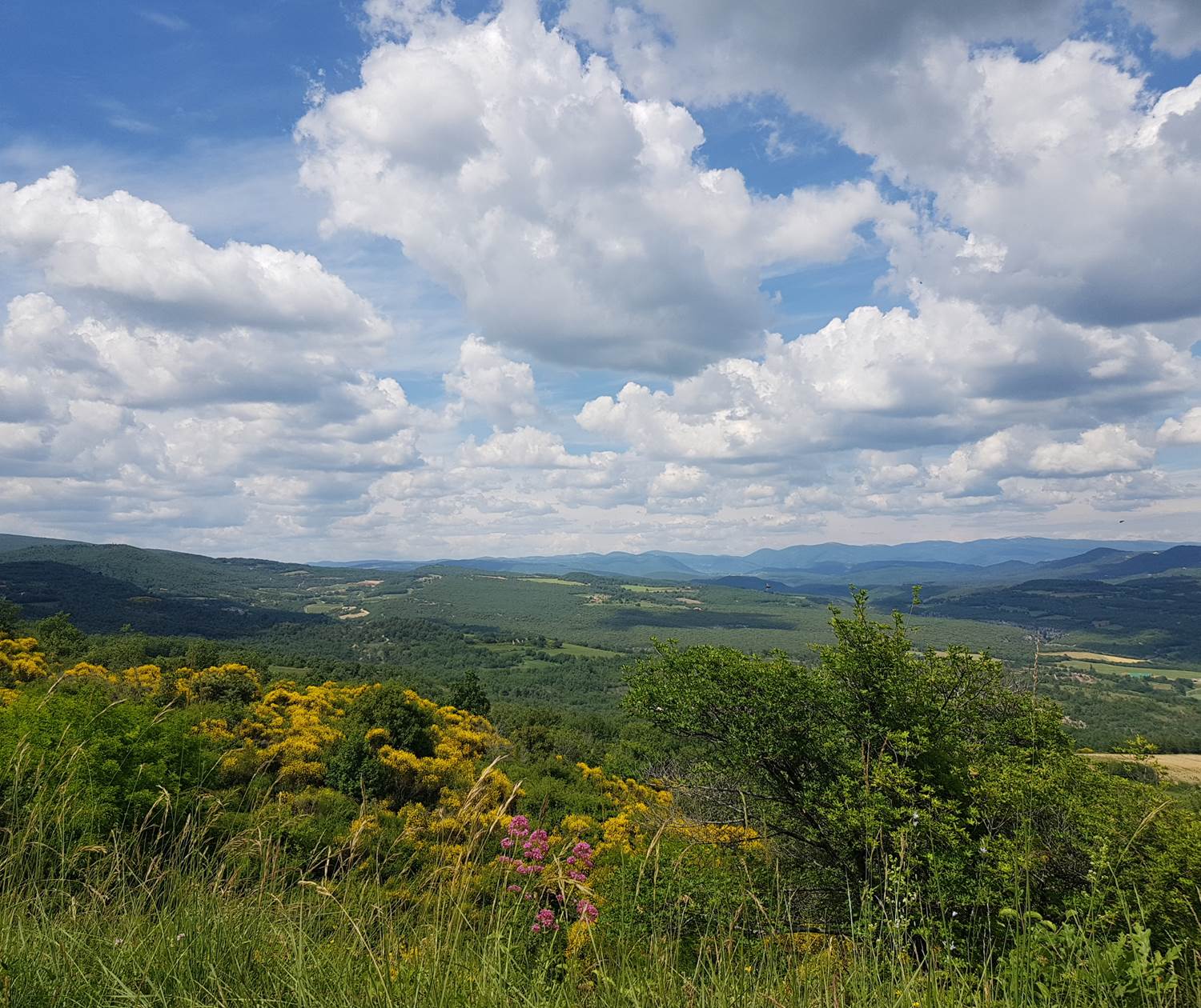 Luberon_et_Alpes_de_Hautes_Provence