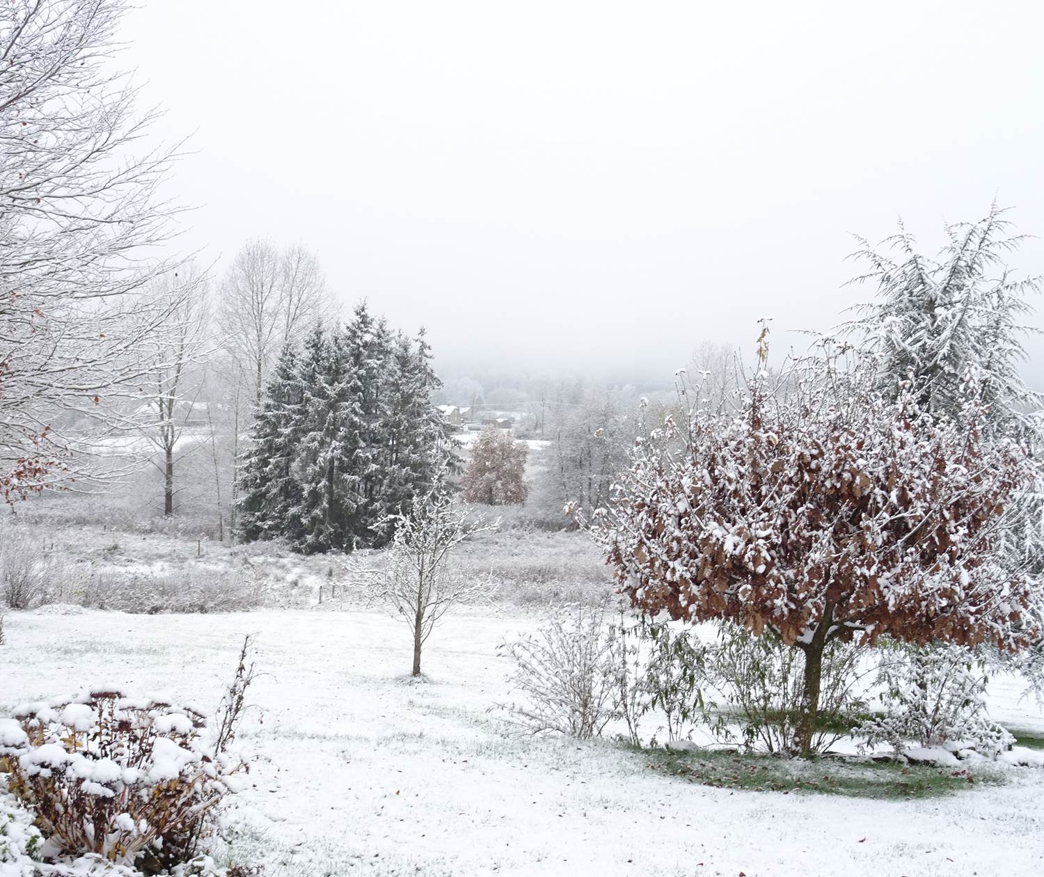 Jardin du gîte 1 sous la neige