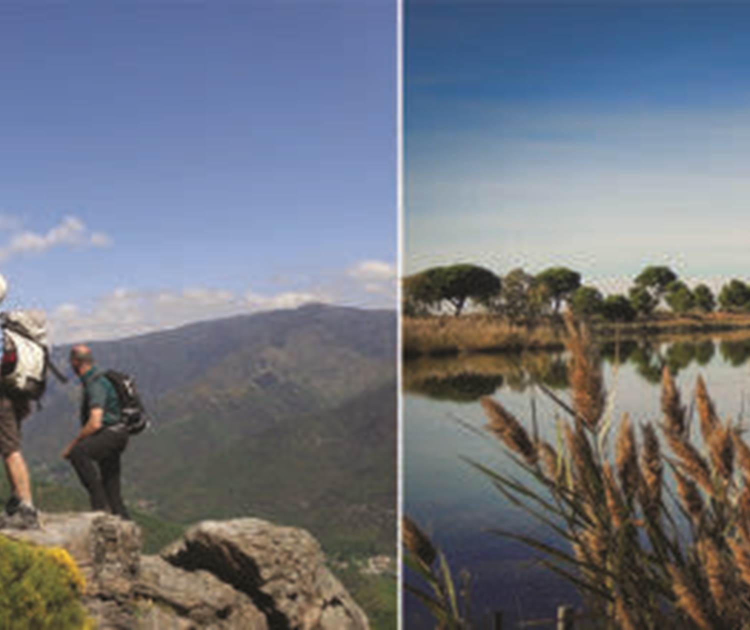 FIRA-des-Cévennes-à-la-Camargue-390x220