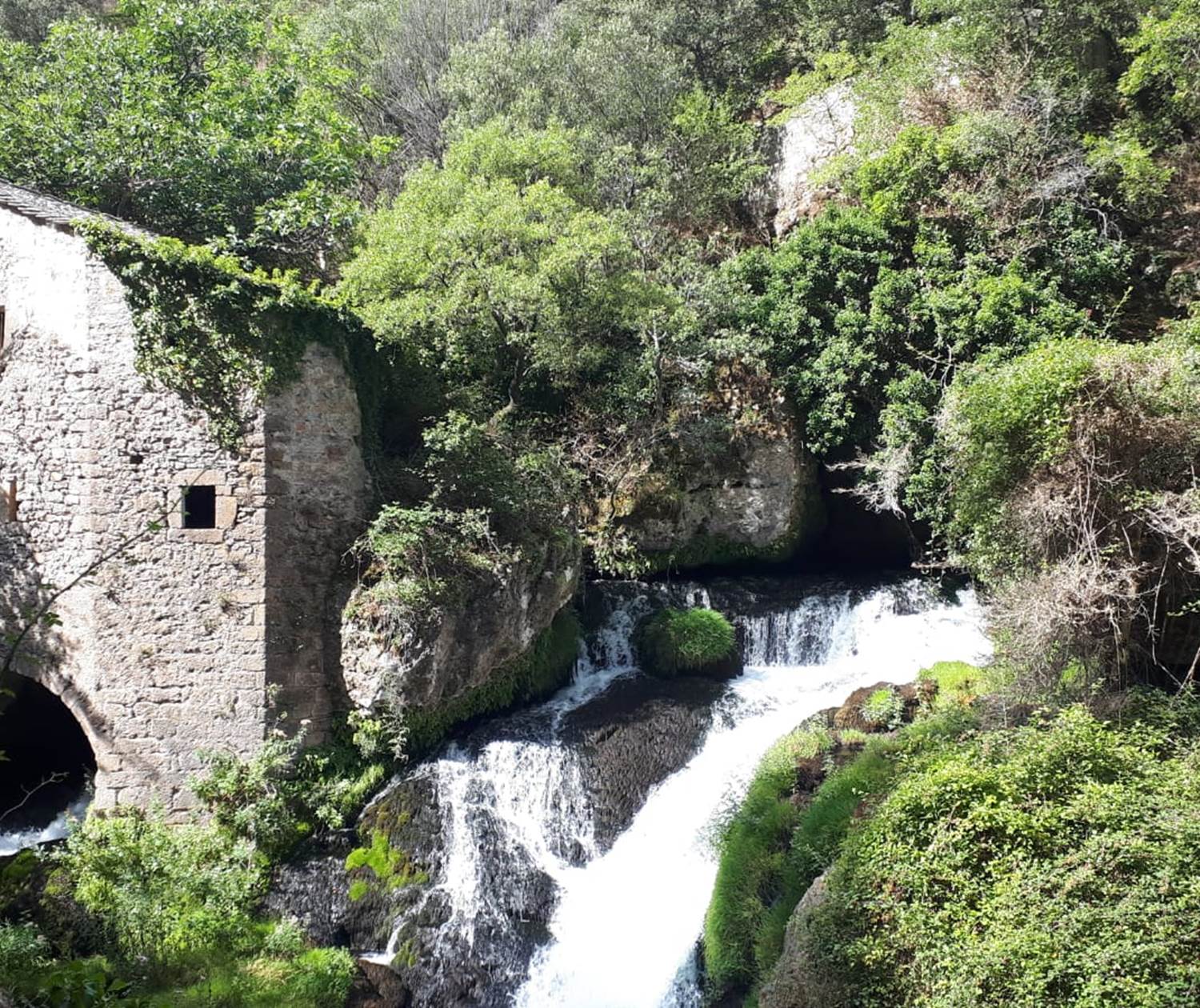 Résurgence de la Vis au moulin de la Foux