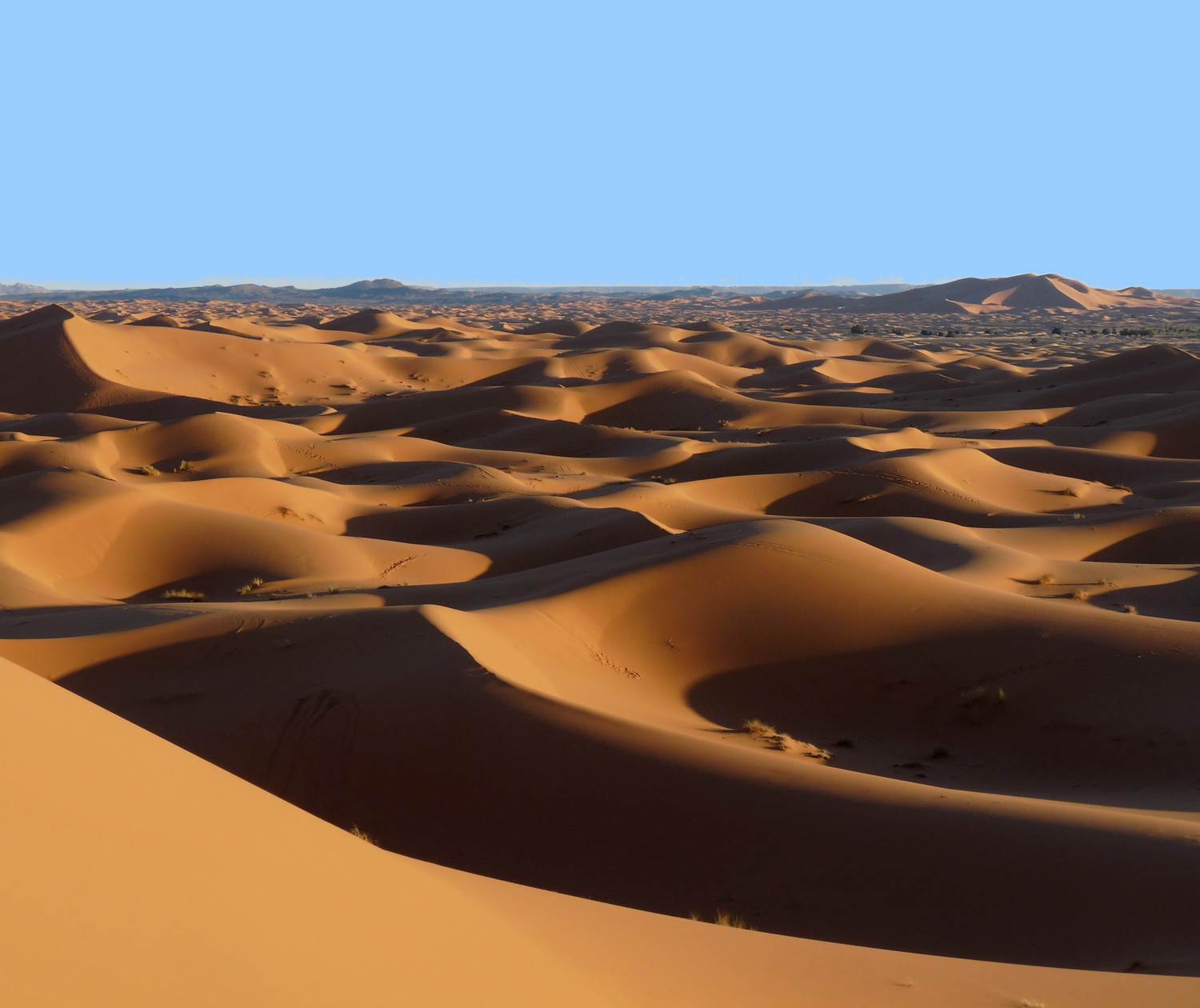 Le sable à perte de vue