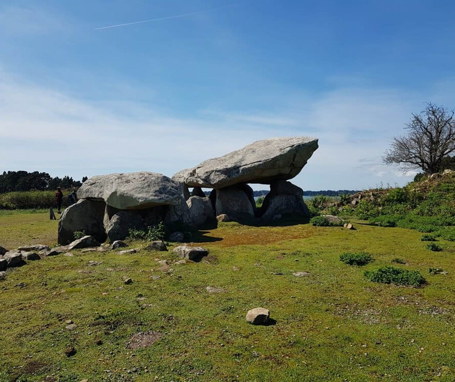 ILEAUXMOINES-GOLFEDUMORBIHAN-BRETAGNESUD