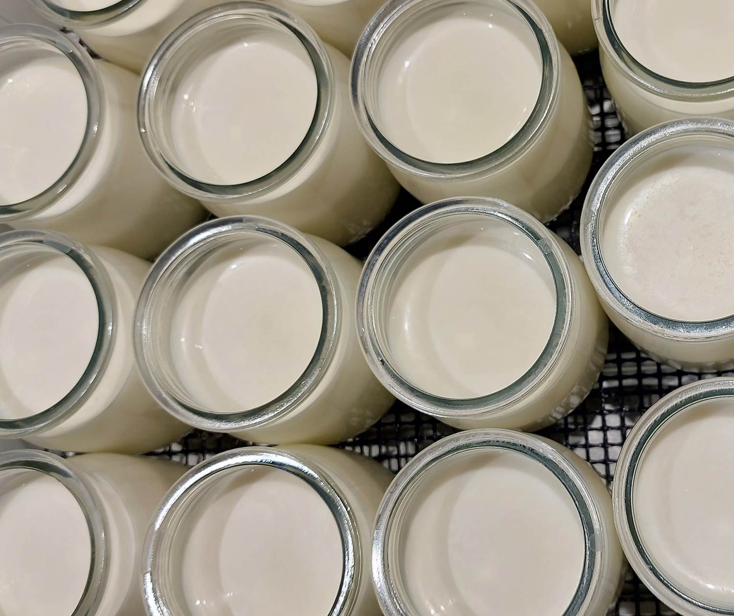 Pots de yaourts faits maison du petit-déjeuner au Domaine Cardu