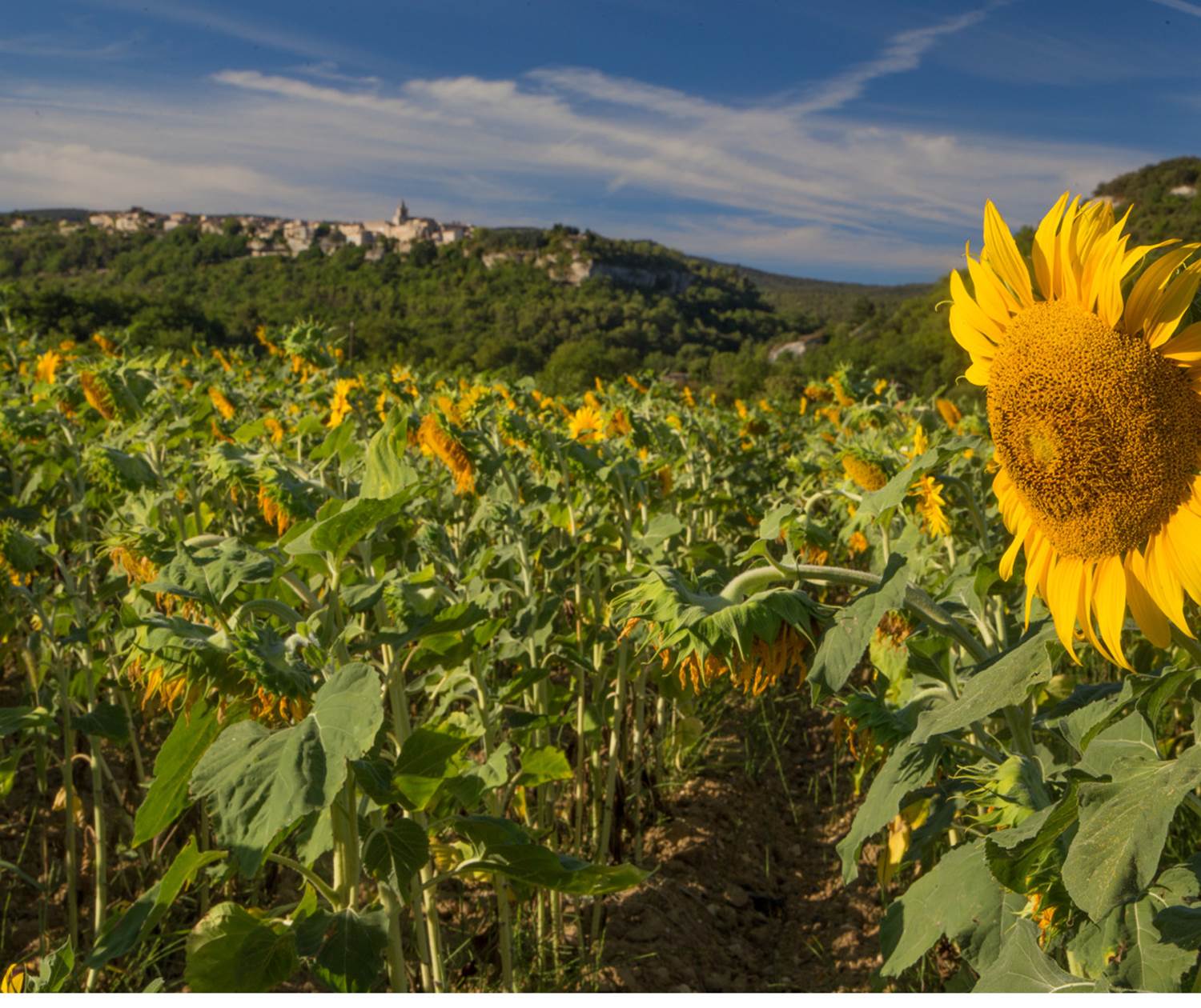 Village de Venasque. Copyright12050-Venasque_-HOCQUEL_A_-_VPA-1600px