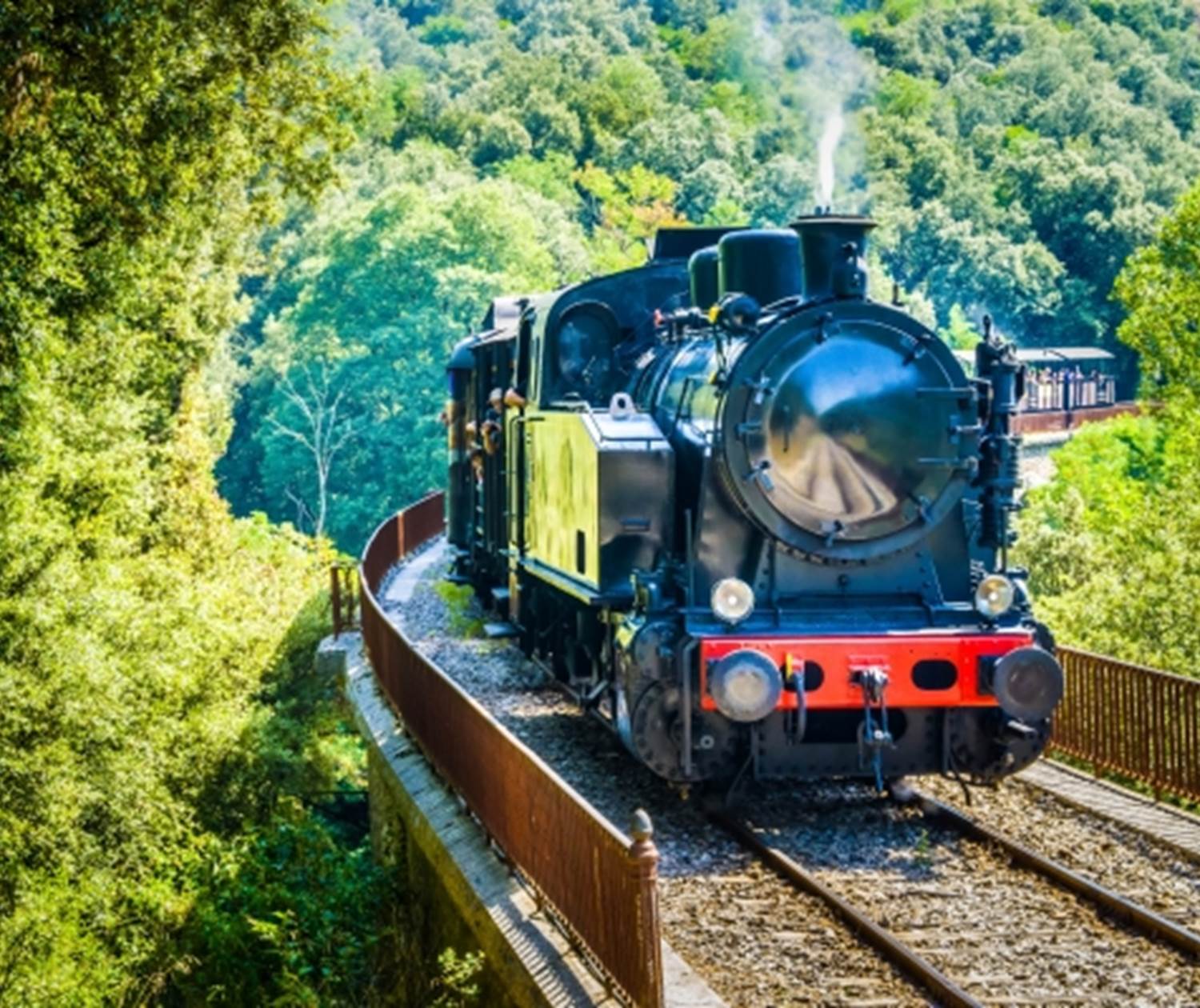 Train à vapeur des Cévennes