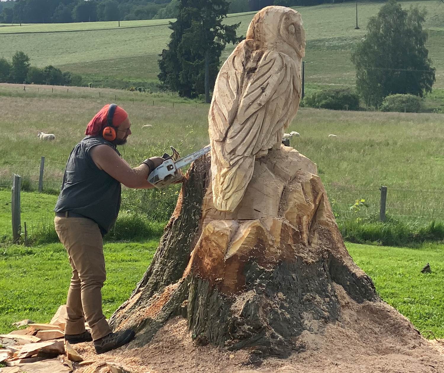 Les terres de la chouette, c'est le bois qui décide des lignes de la sculpture