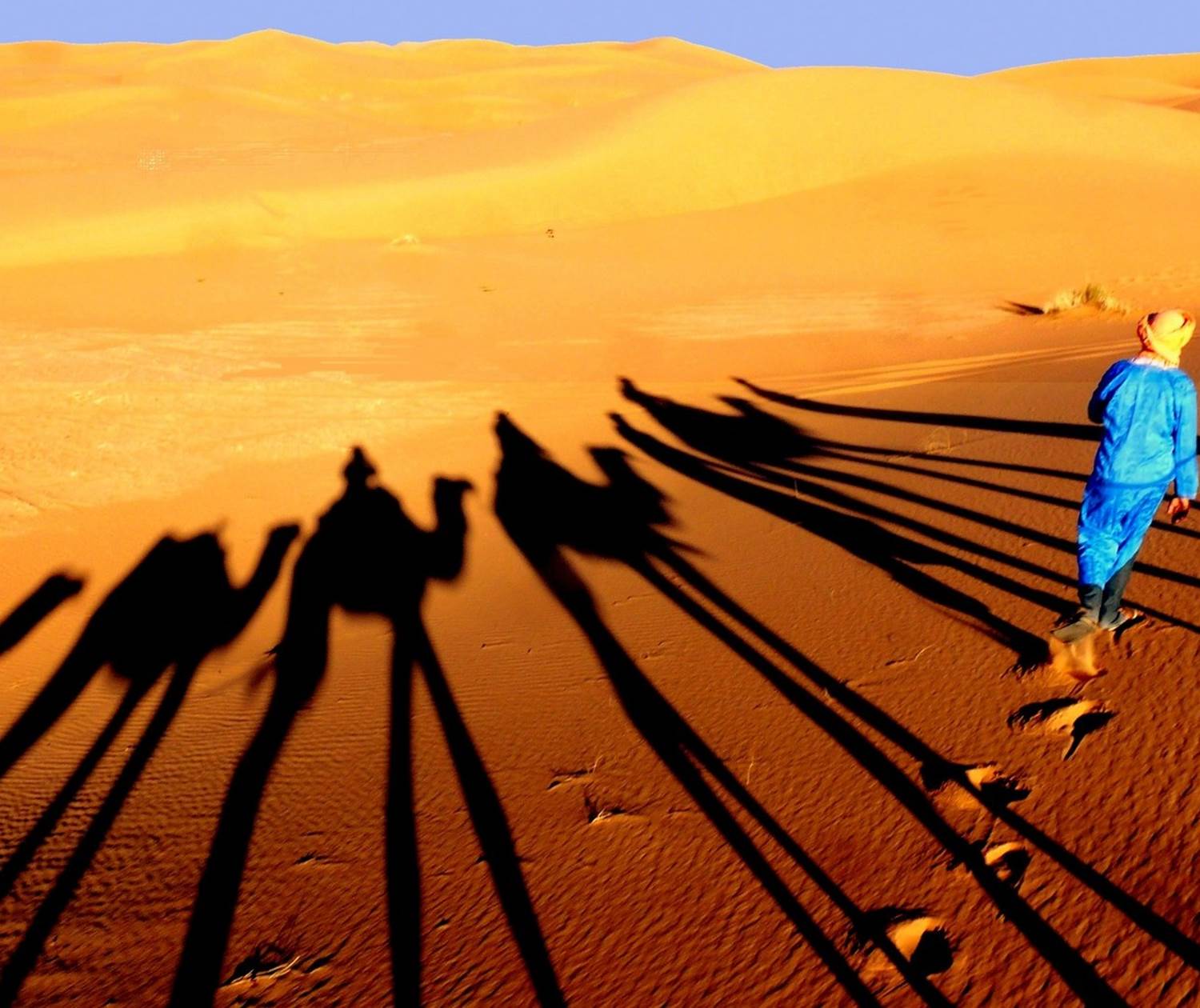 Randonnée chamelière