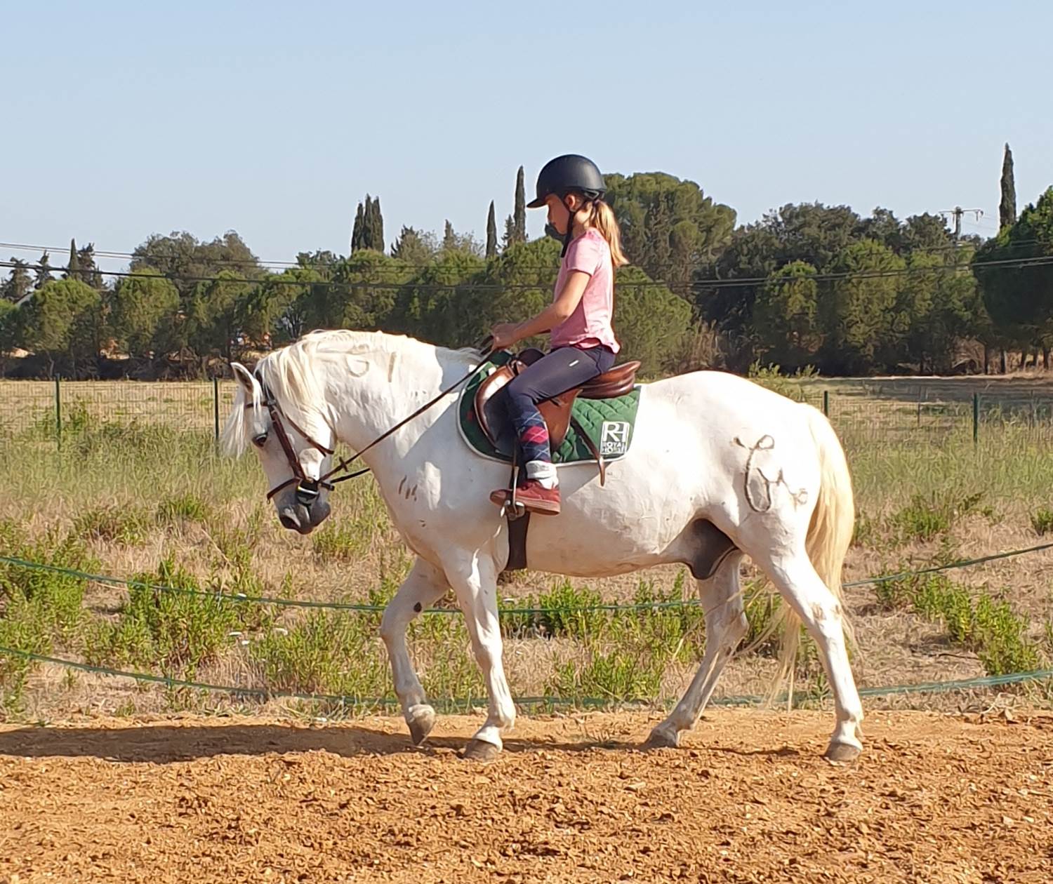 LES CHAMBRES DE MON P'TIT MAS - chambres d'hôtes - autour du cheval-