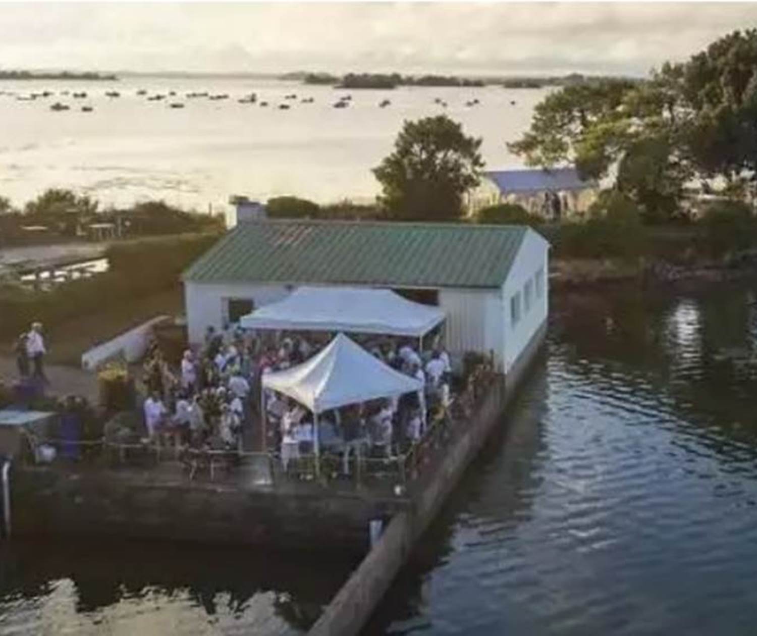 Les nurseries du Golfe