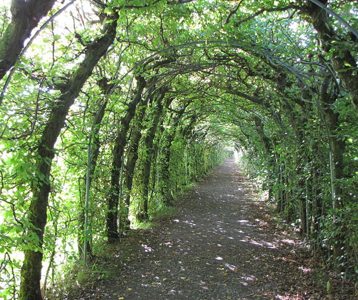 800px-Theux_-_la_Charmille