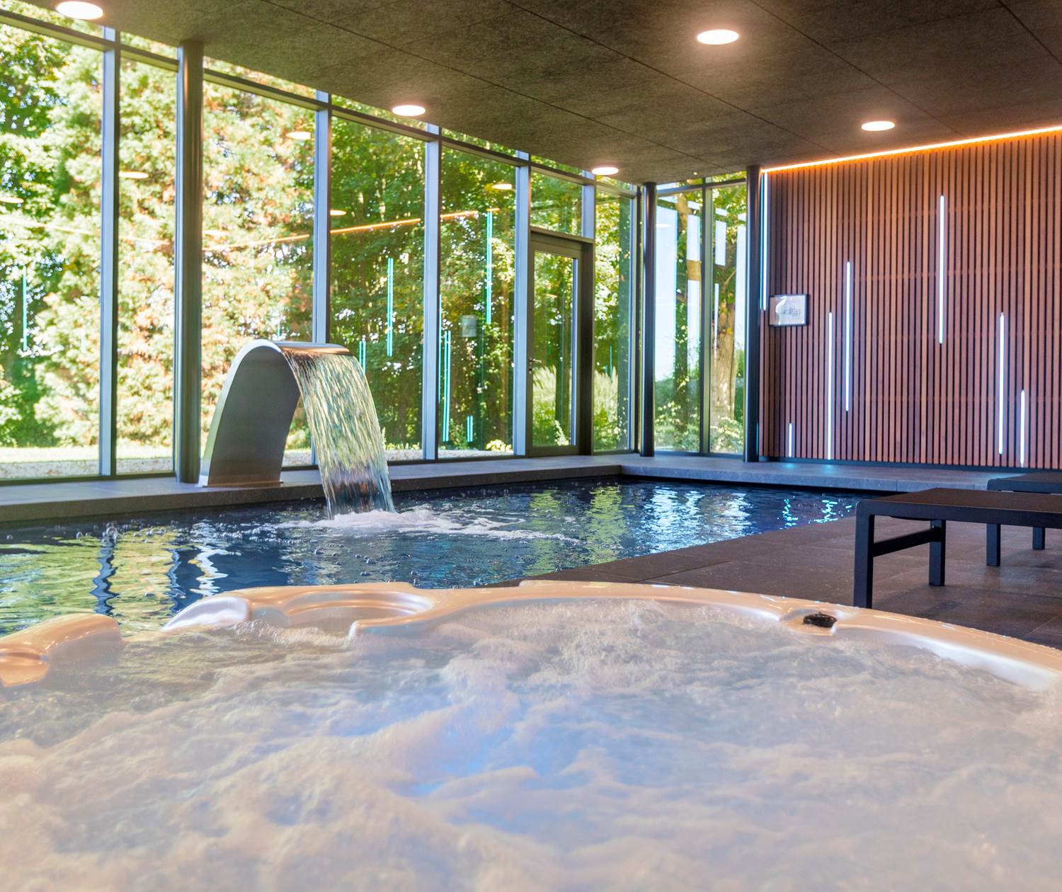 Jacuzzi and swimming pool