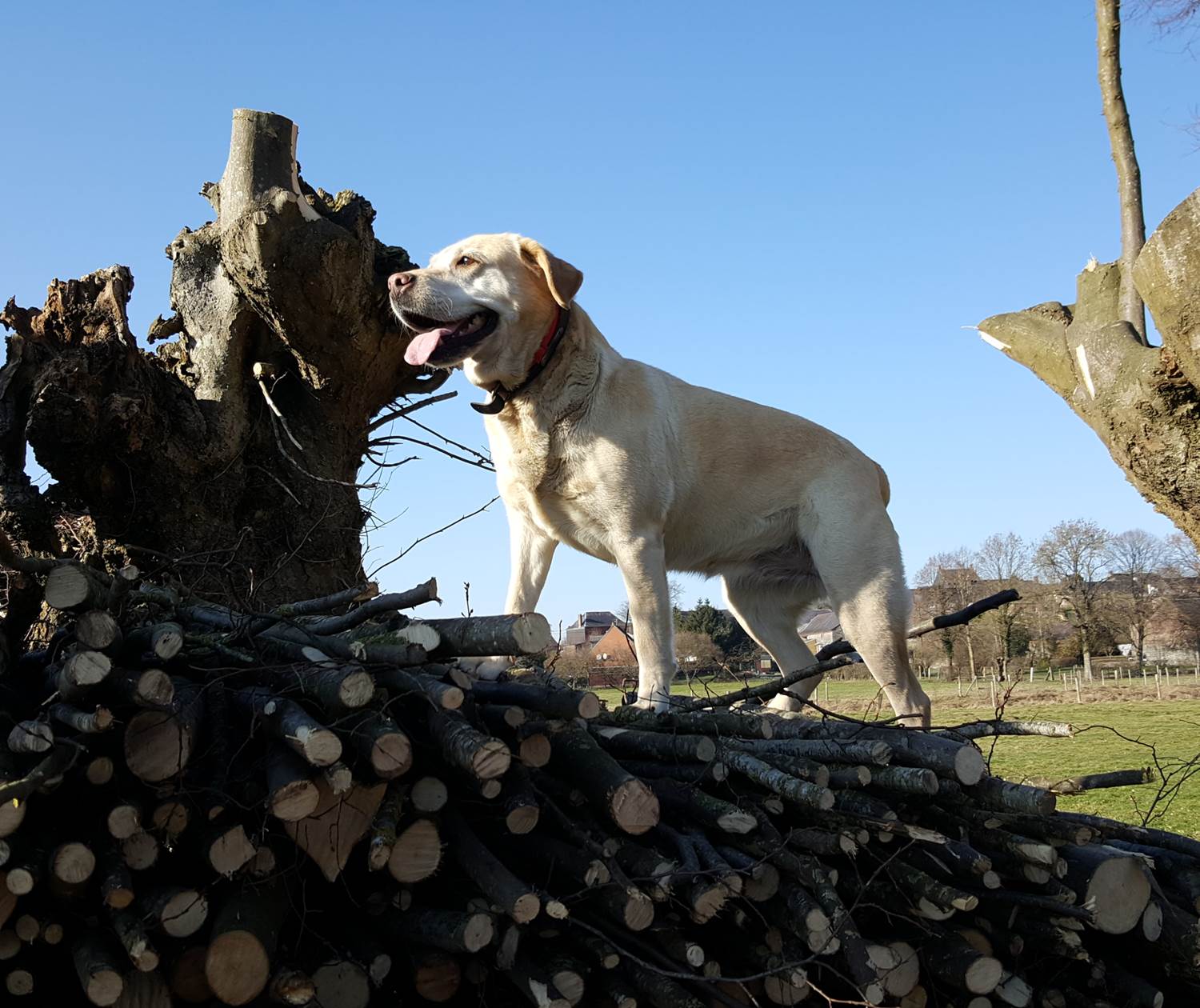Ezzia qui vous a acceuilli pendant de nombreuses années