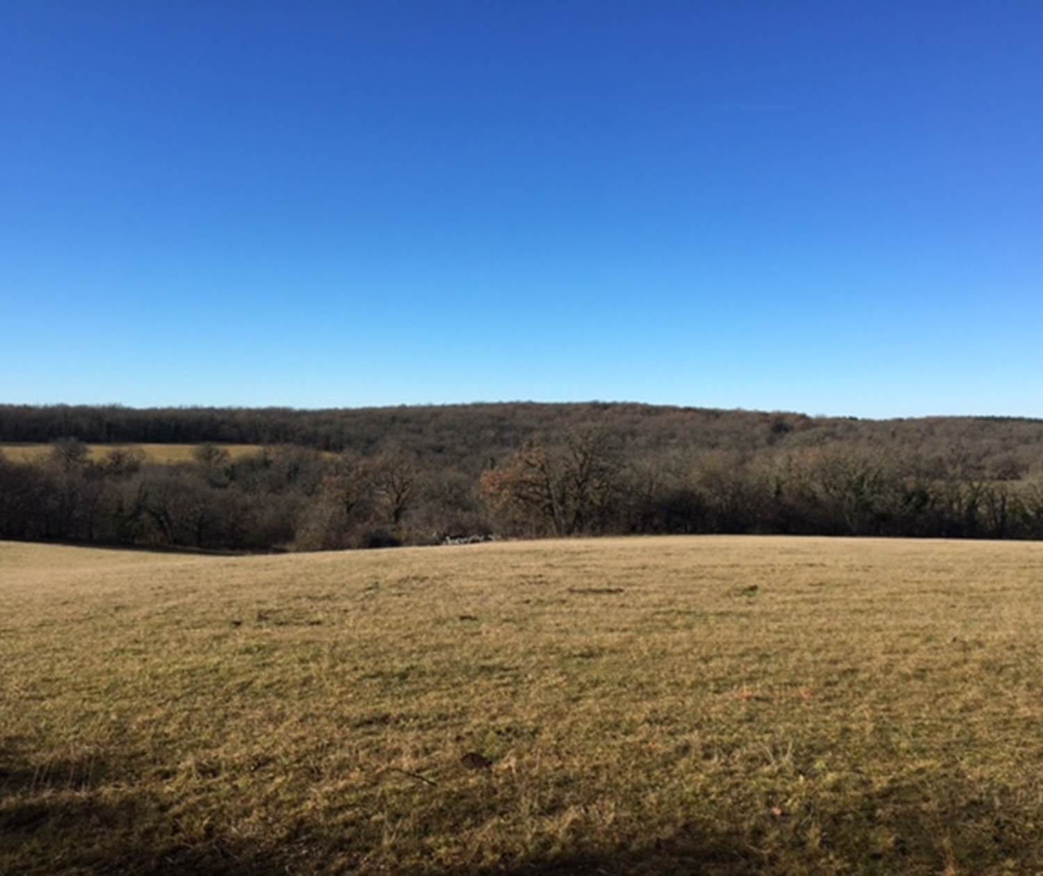 Le causse environant