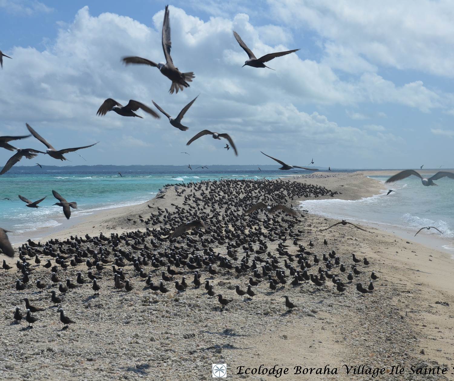 Ilôts de Sable Ile Ste Marie Madagascar 11