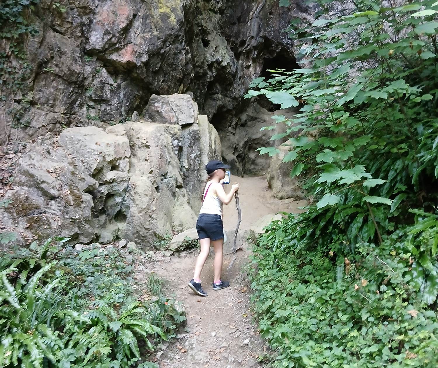 la réserve naturelle de Furfooz