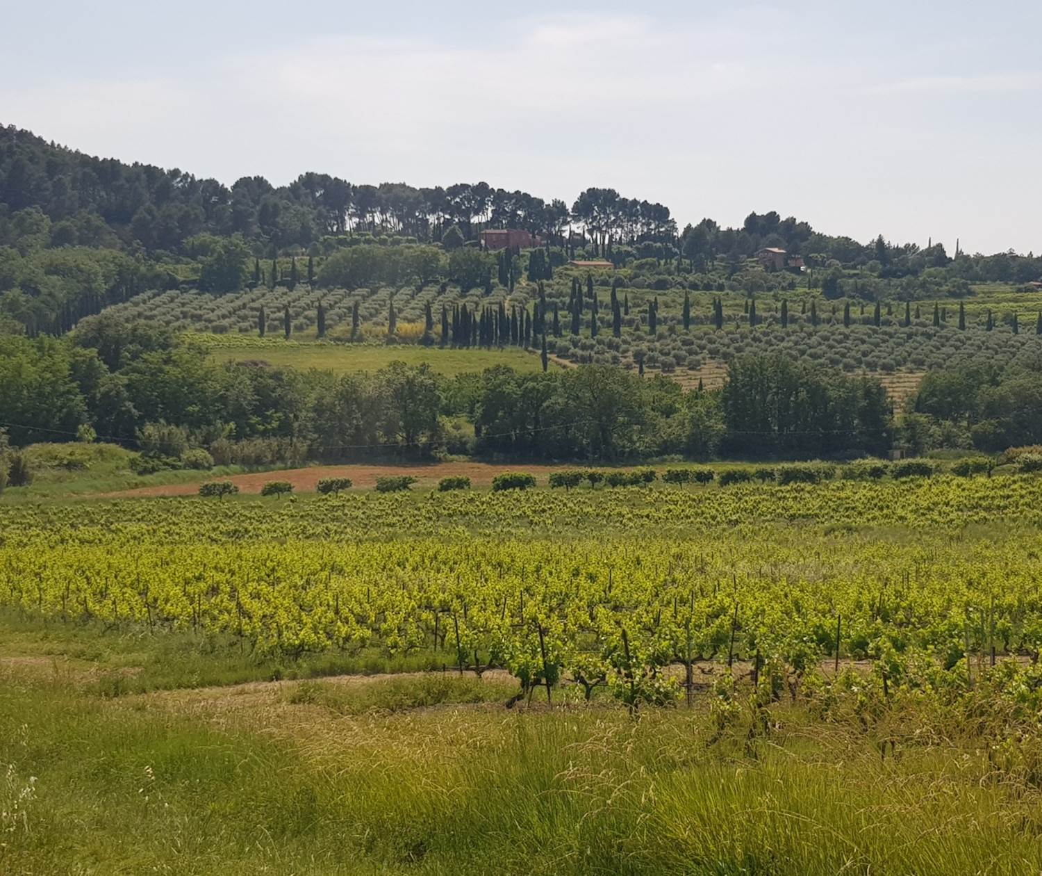 La_petite_toscane_de_provence