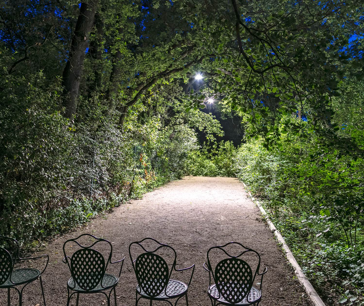 Partie de Boule de nuit