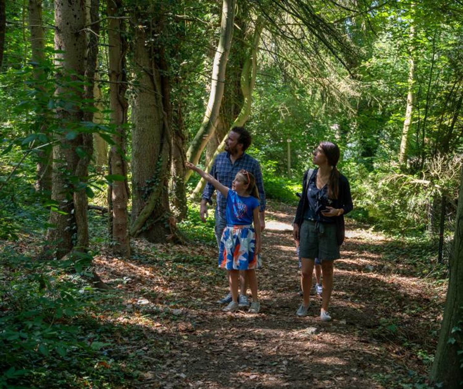 5312A7EA-F2EC-415A-B53C-8FAAABAD6857