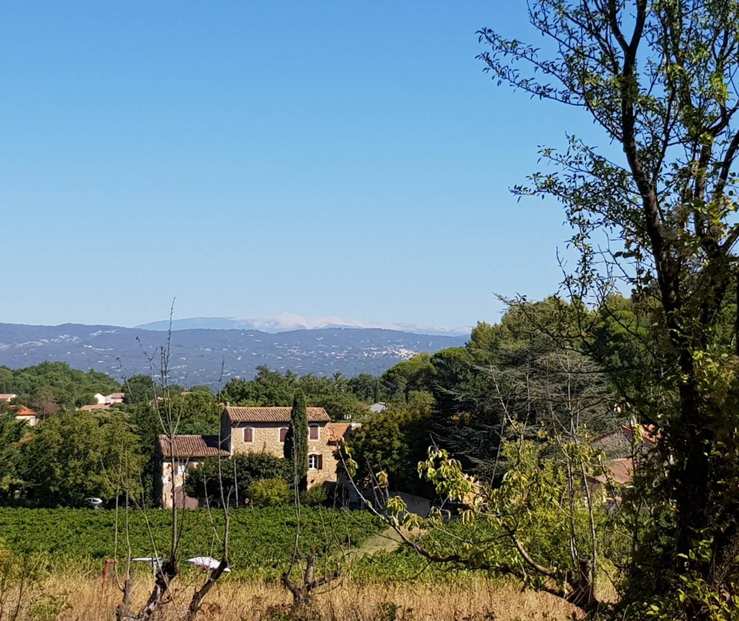 Oppède dans le Luberon -  vue sur le Mont Ventoux