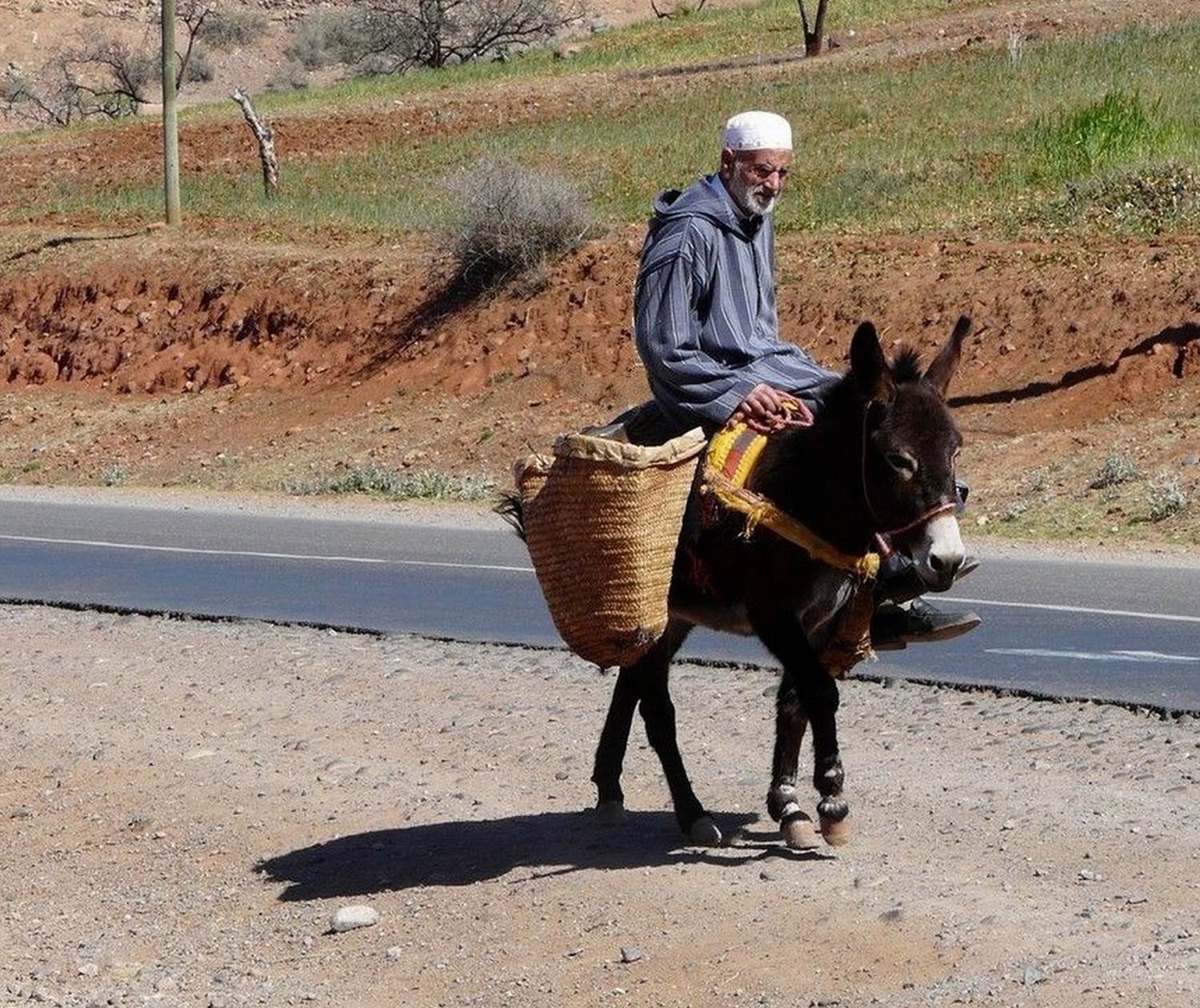 Transport traditionnel dans le sud marocain