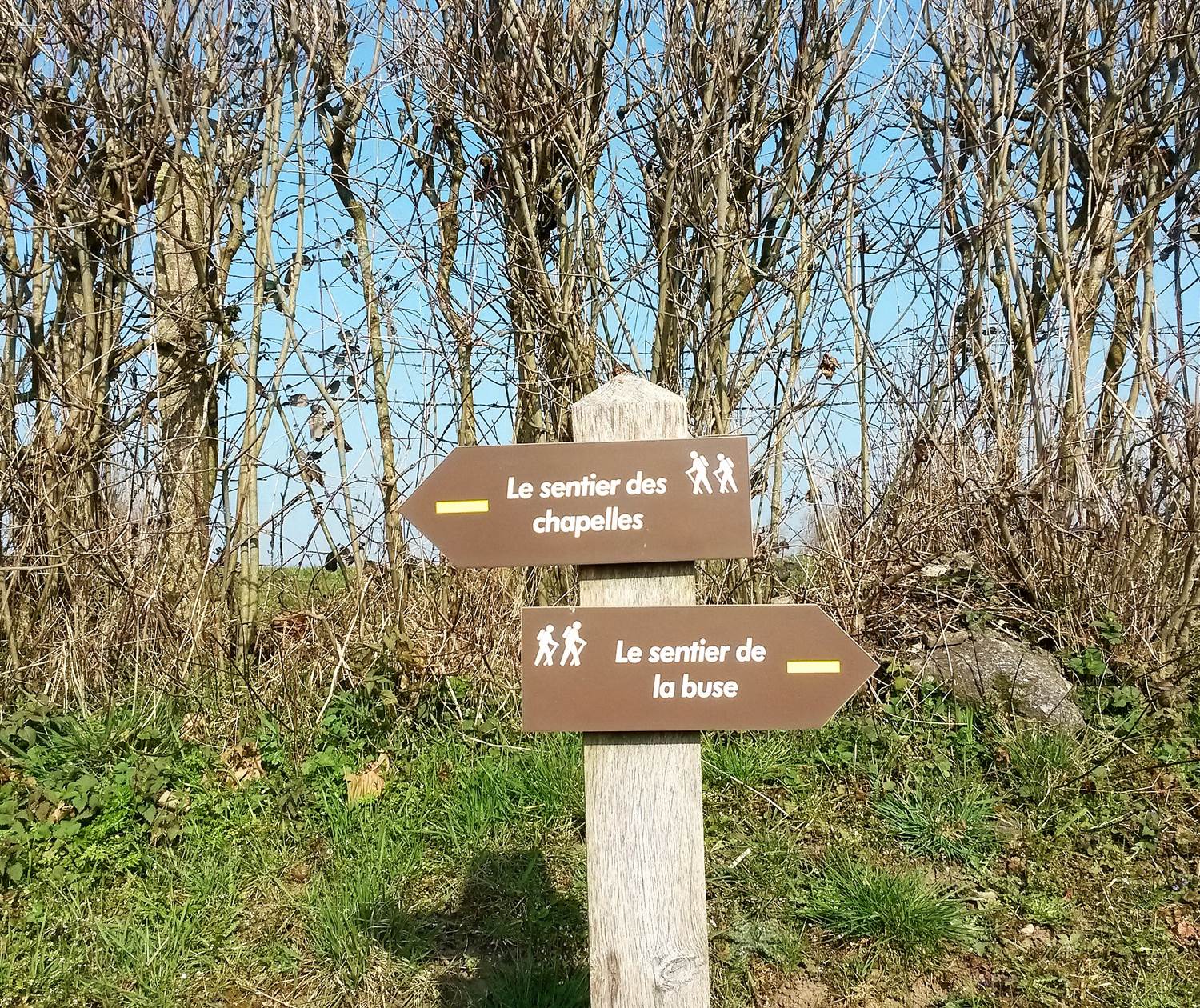 Circuits de randonnées sur place