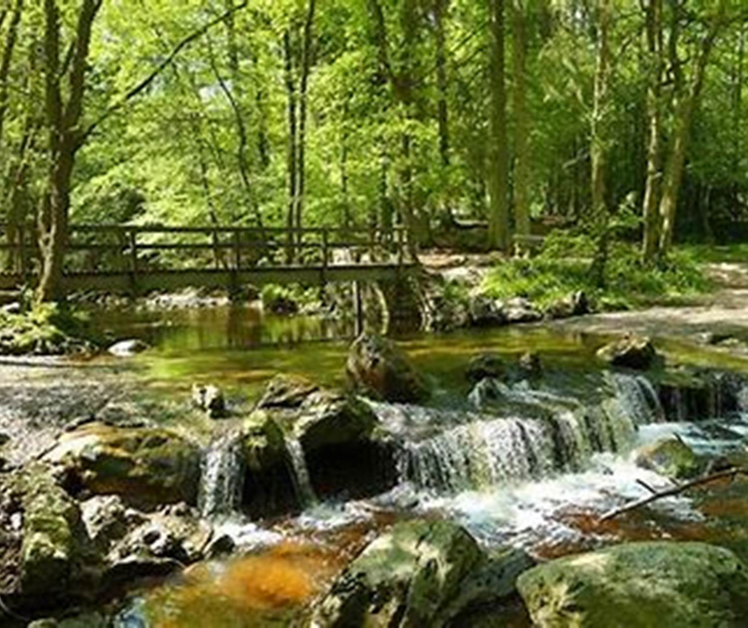 La vallée de la Hoegne