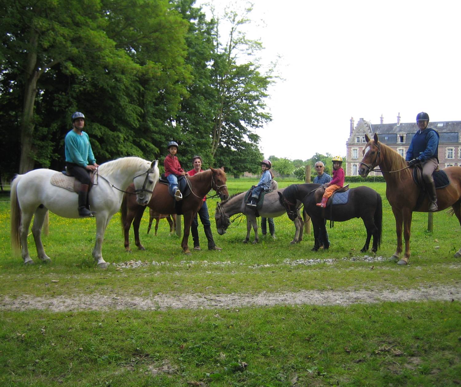 Château de Behen Chevaux