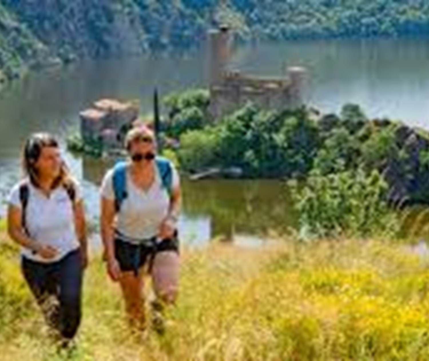 Les sentiers du Forez