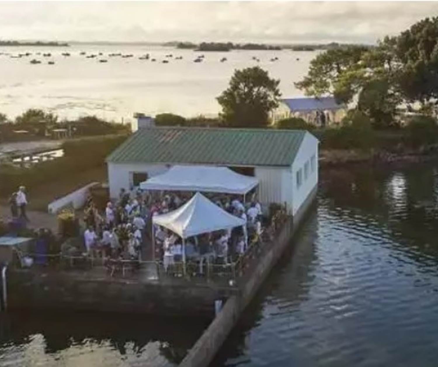 Les nurseries du Golfe