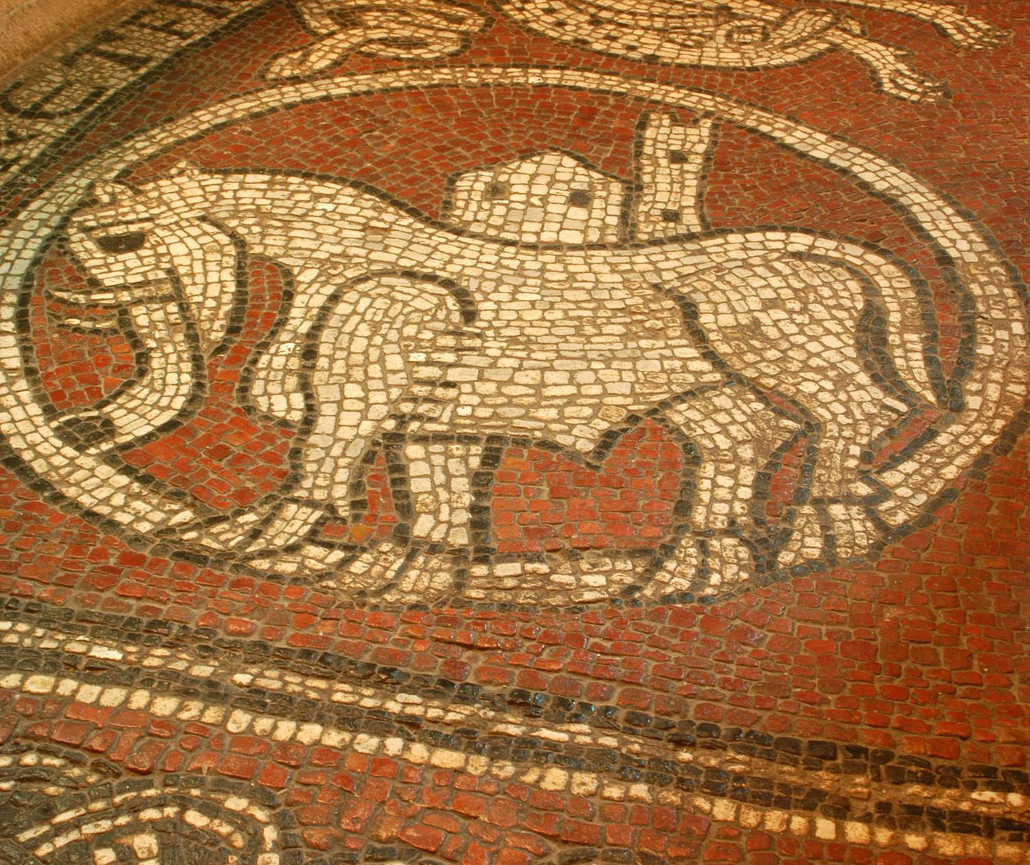 La Mosaïque de Ganagobie