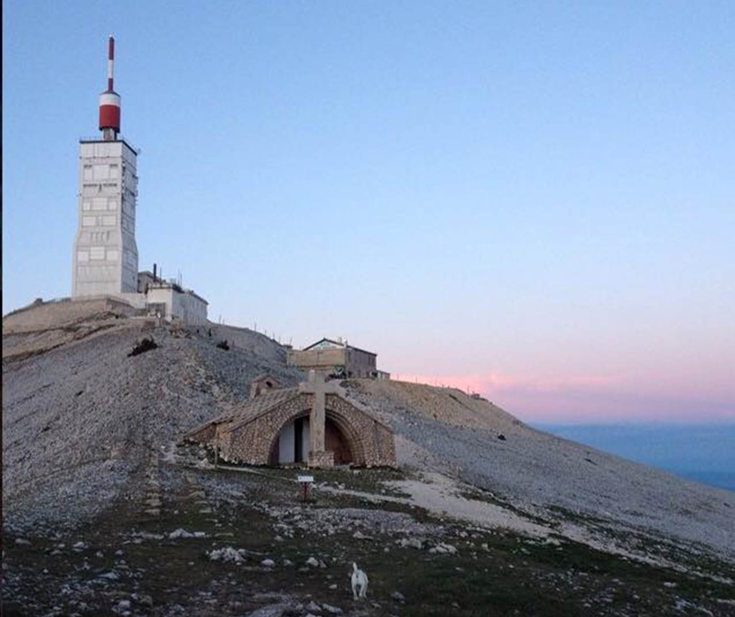 11401377_1610345015879250_7983494592568313747_n