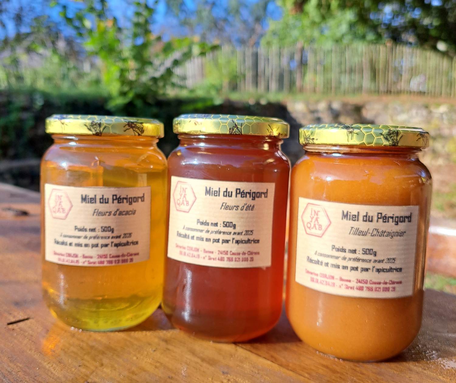 Nos miels du Périgord INYAQAB Dordogne