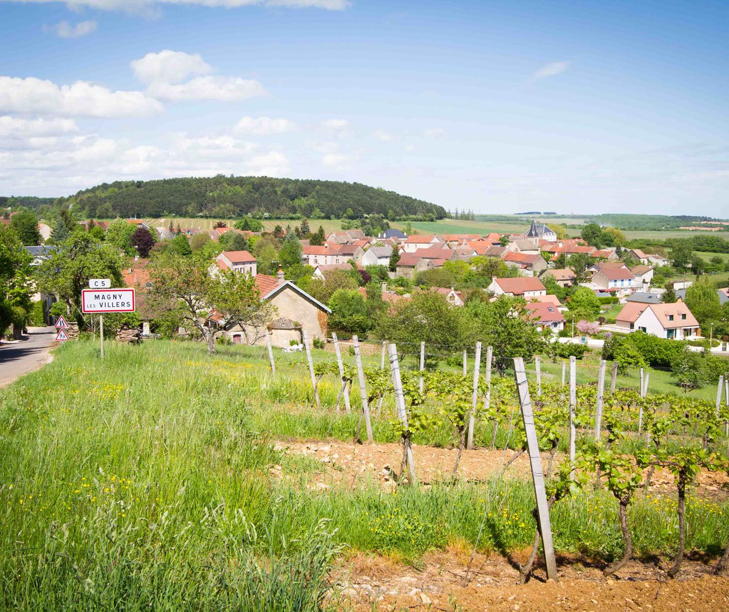 village calme dans vignoble de cote d'or