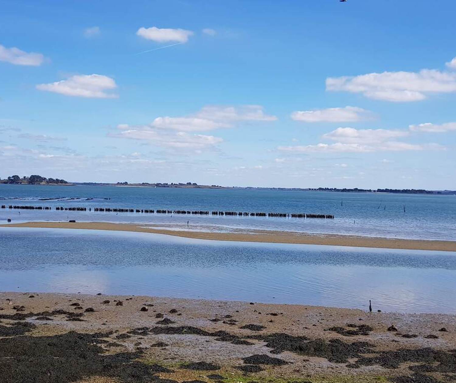 ILEAUXMOINES-GOLFEDUMORBIHAN-BRETAGNESUD