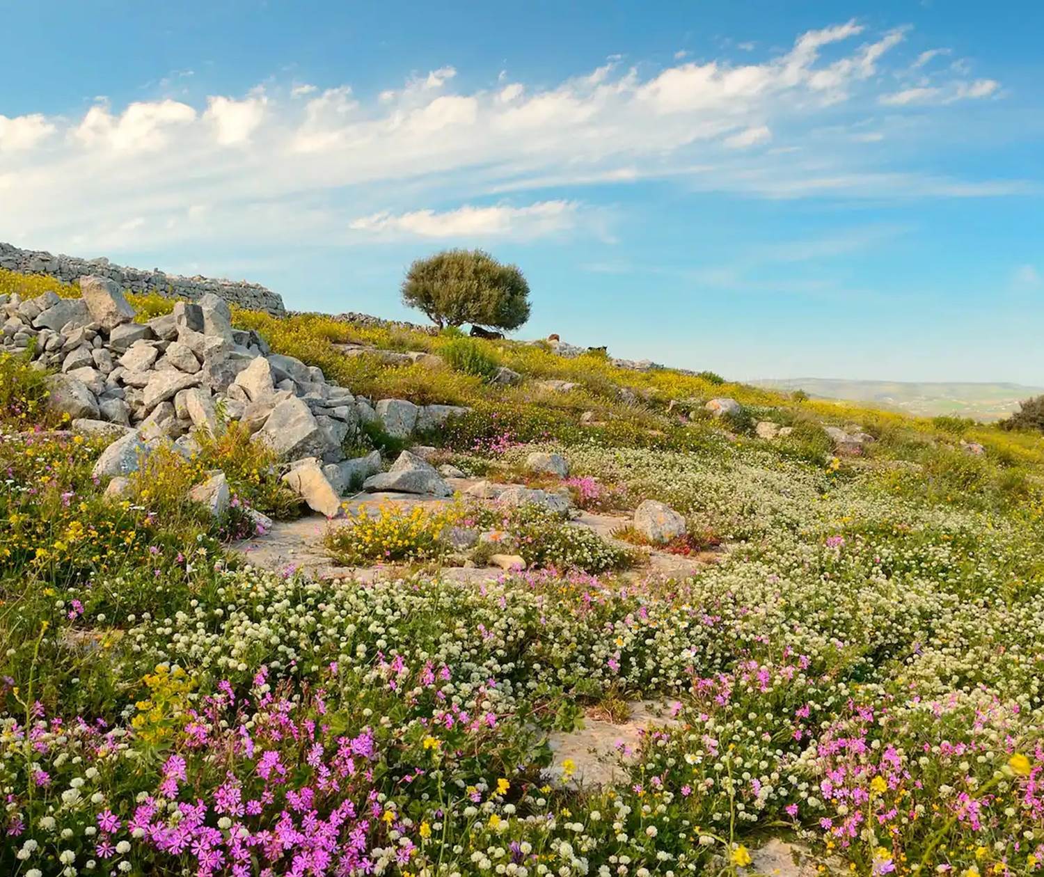Villa Dolce Valle - Ragusa