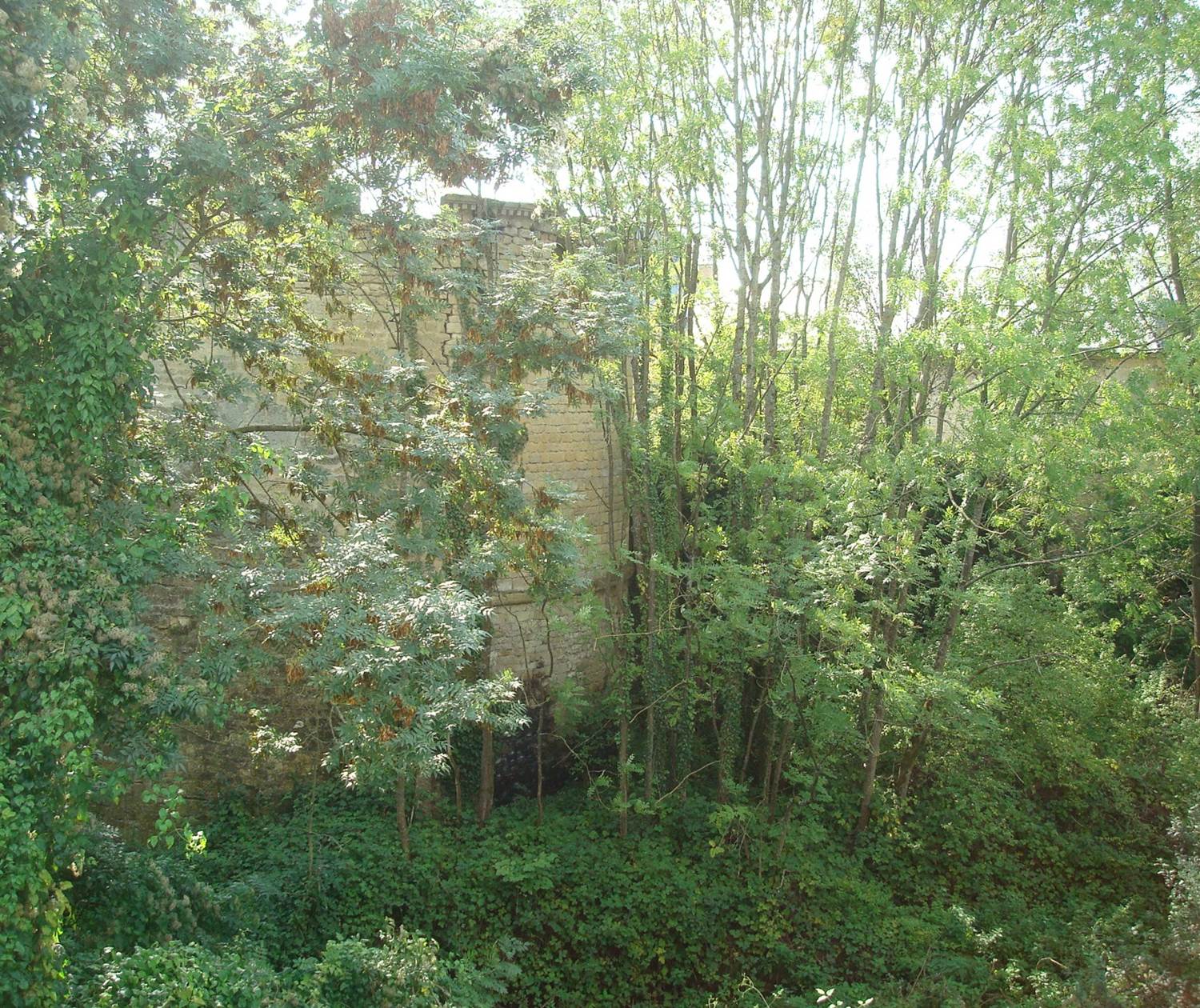 ete 2010 futur gite du pont