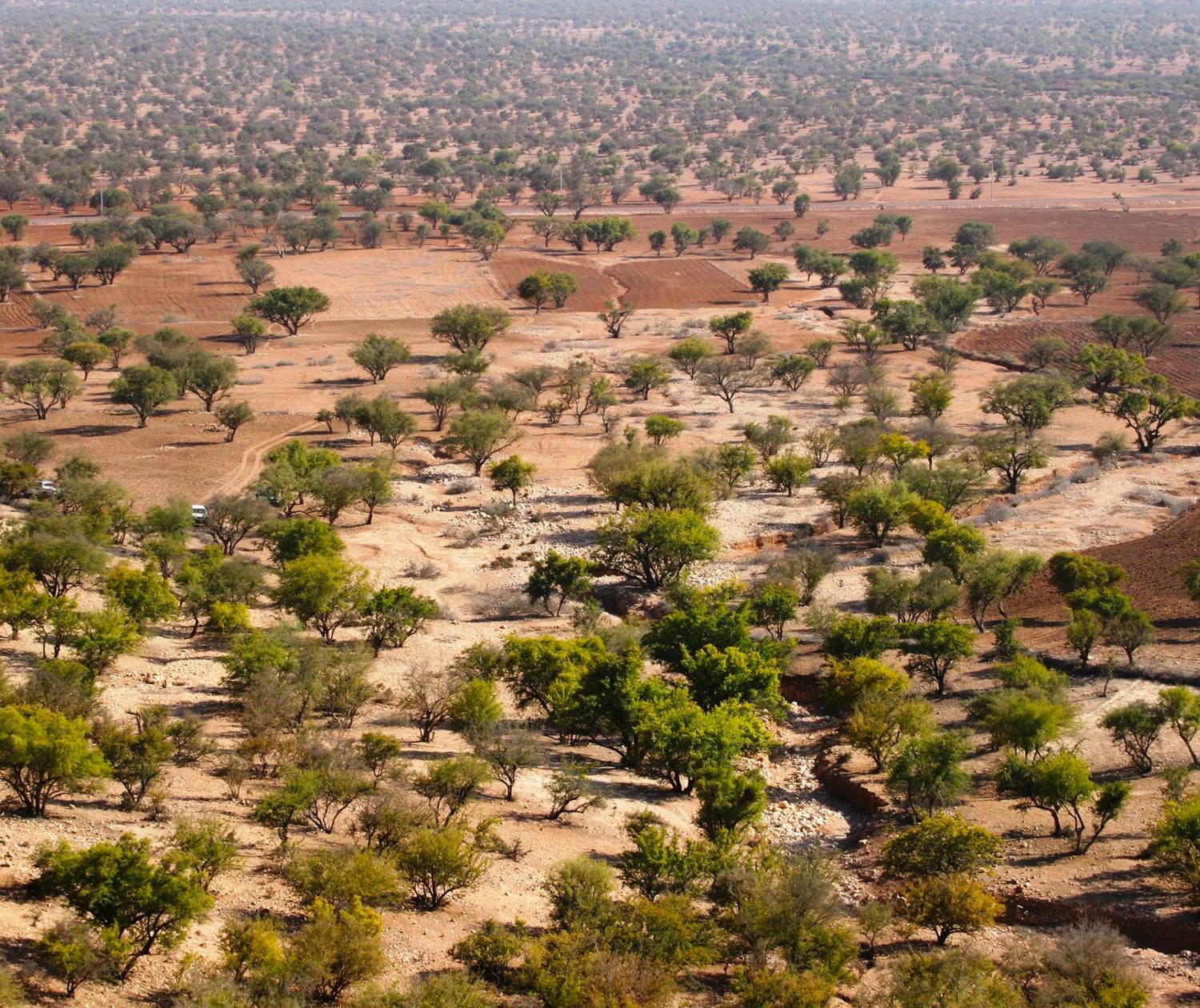 Fat club Agadir - Agadir Souss Massa