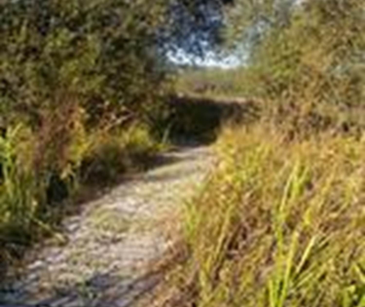 Circuit des puys et vallées en pays d'Aixe