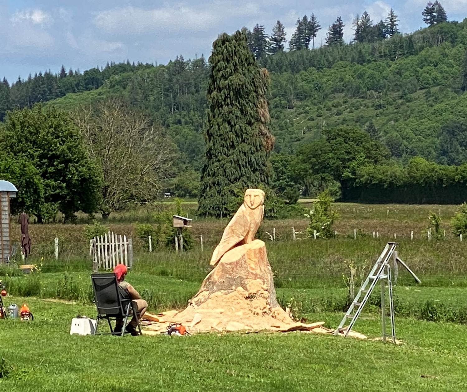 Les terres de la chouette, moment de méditation pour l'artiste face à la chouette qui prend forme