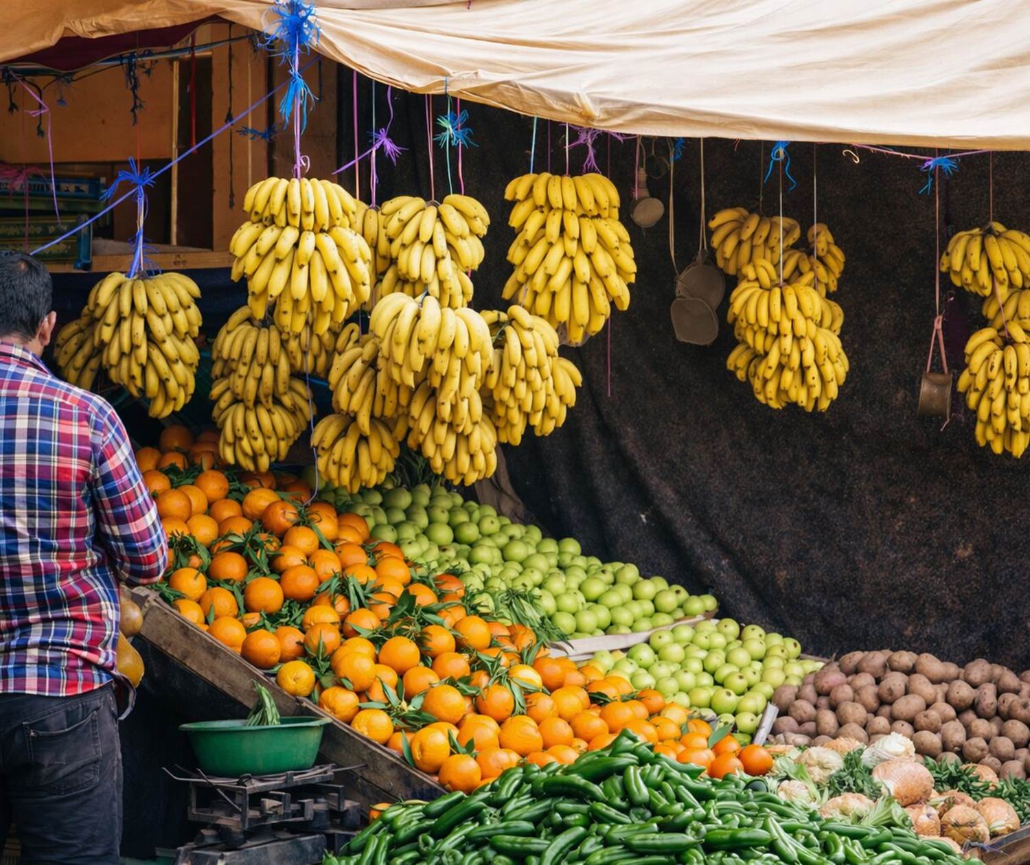Les beaux fruits et légumes du souk