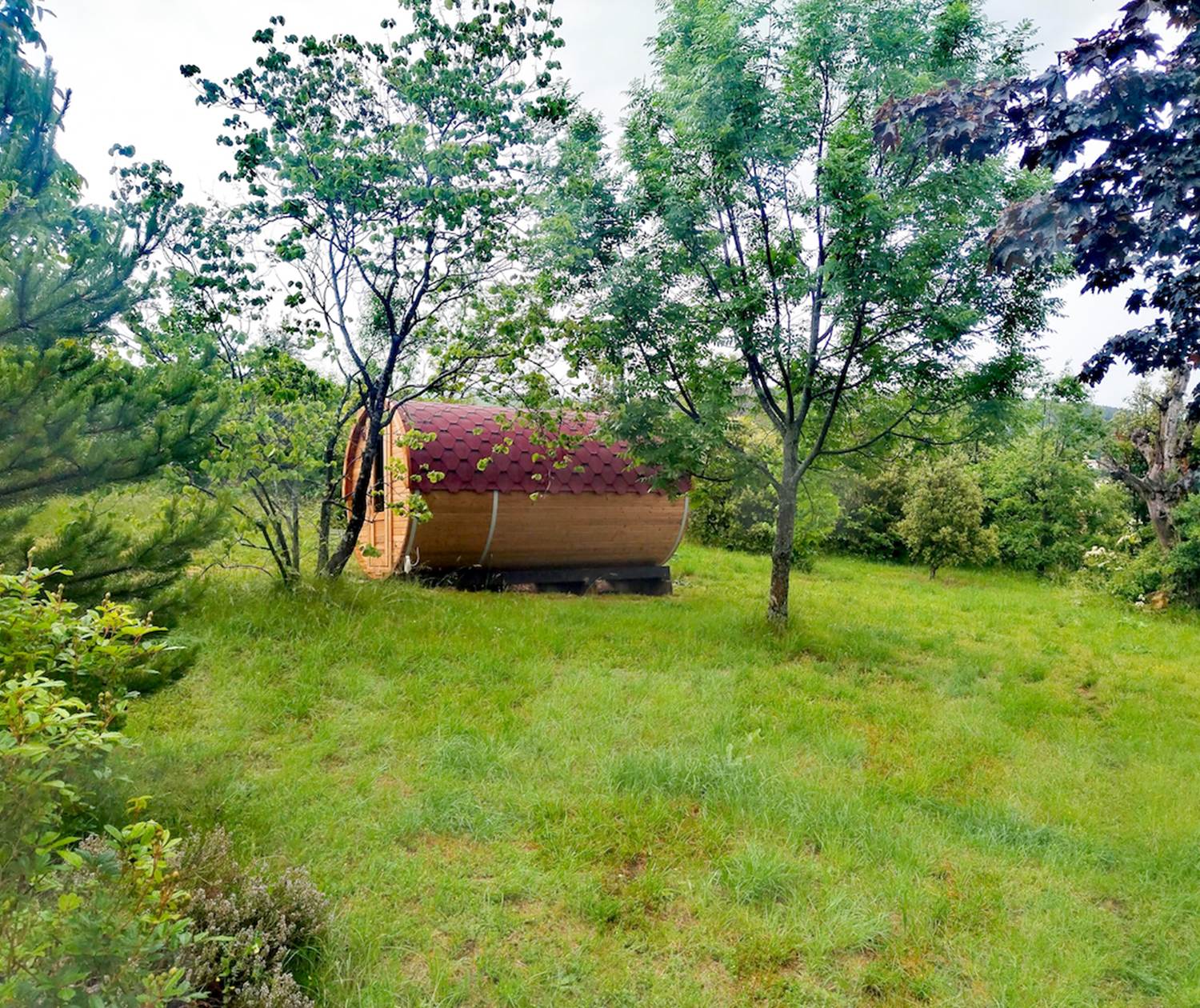 Le sauna au milieu du parc, entouré d'arbres